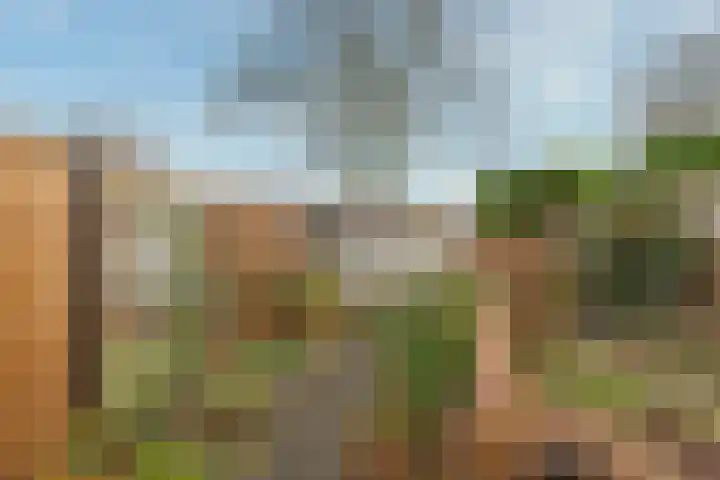 Donkeregaarde 102 Nieuwegein thumbnail 20