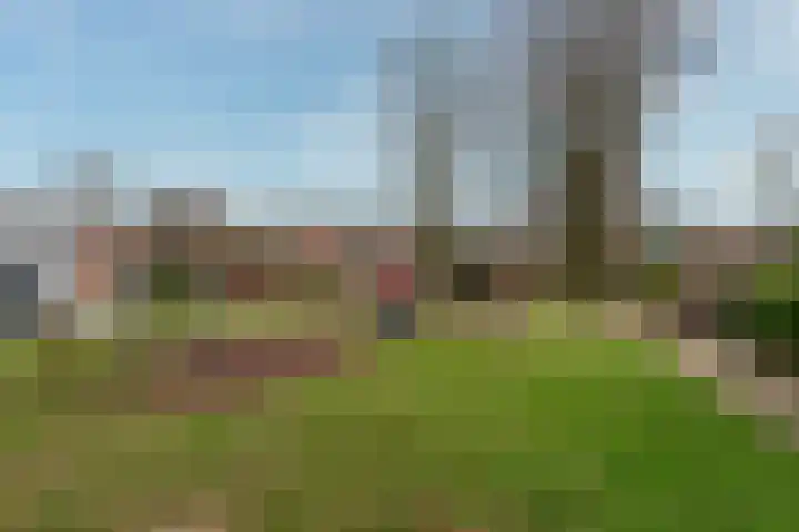 Donkeregaarde 102 Nieuwegein thumbnail 21