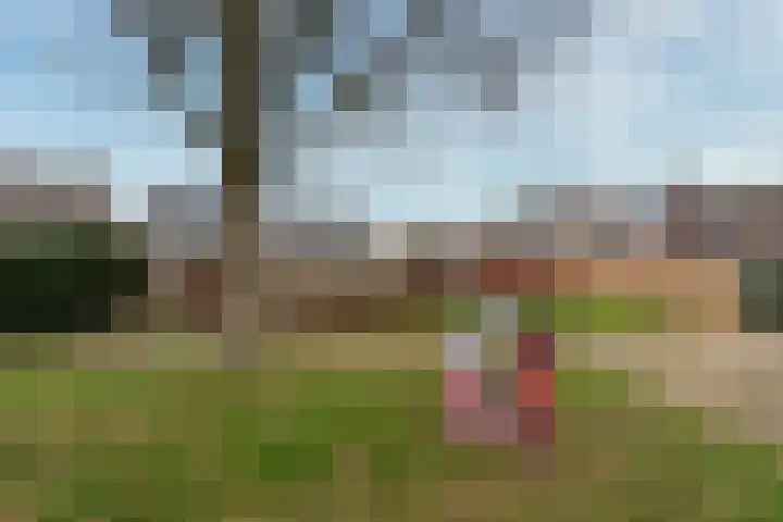 Donkeregaarde 102 Nieuwegein thumbnail 22