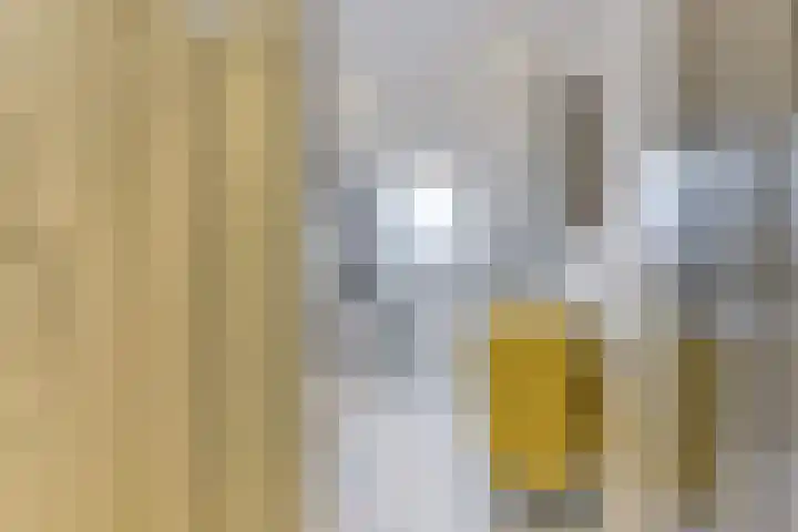 Donkeregaarde 102 Nieuwegein thumbnail 34