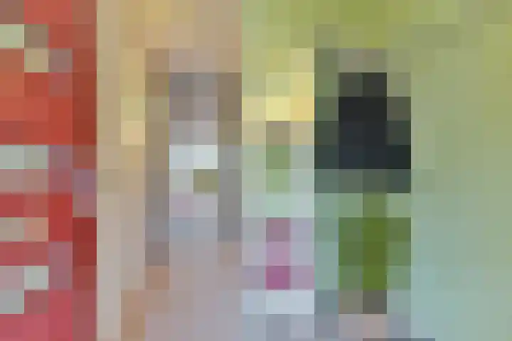 Donkeregaarde 102 Nieuwegein thumbnail 6