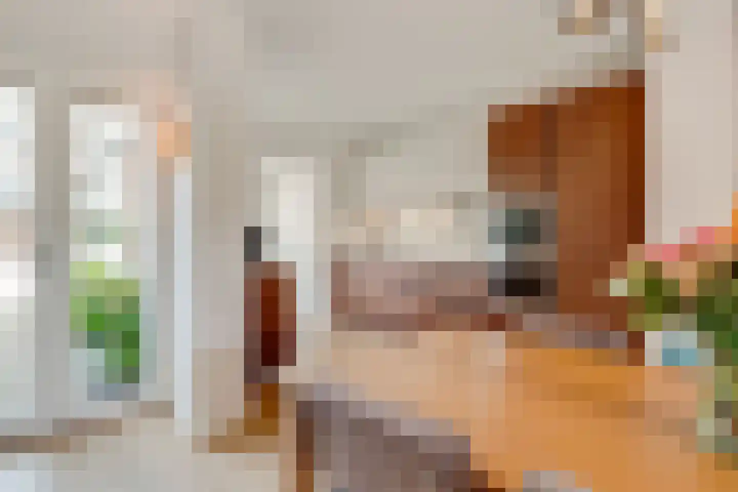 Donkeregaarde 31 Nieuwegein thumbnail 12