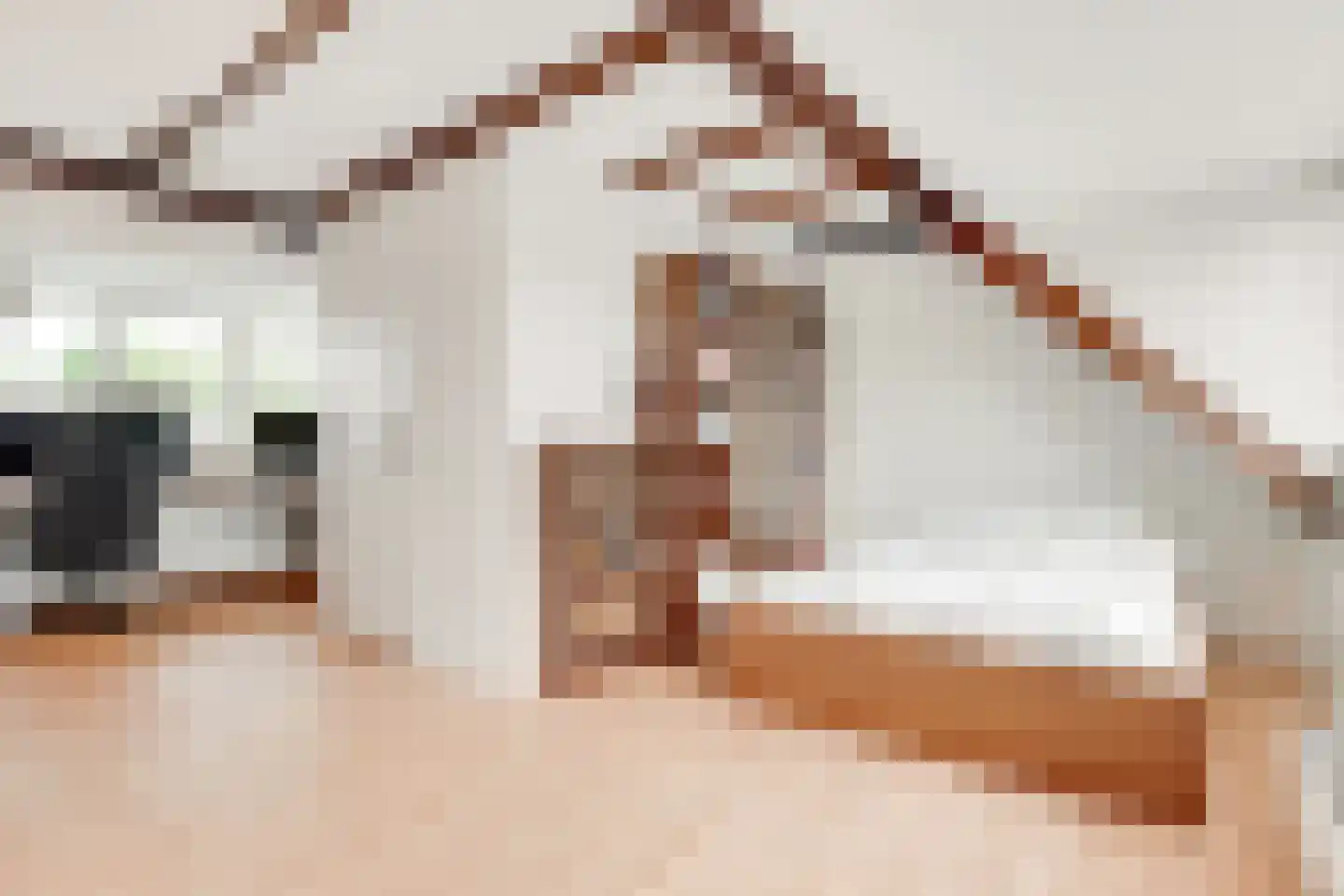 Donkeregaarde 31 Nieuwegein thumbnail 38
