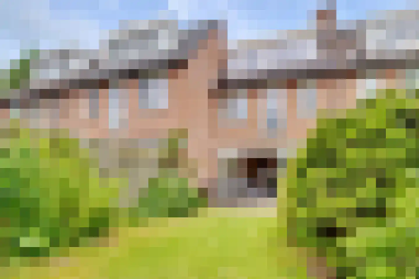 Donkeregaarde 31 Nieuwegein thumbnail 43