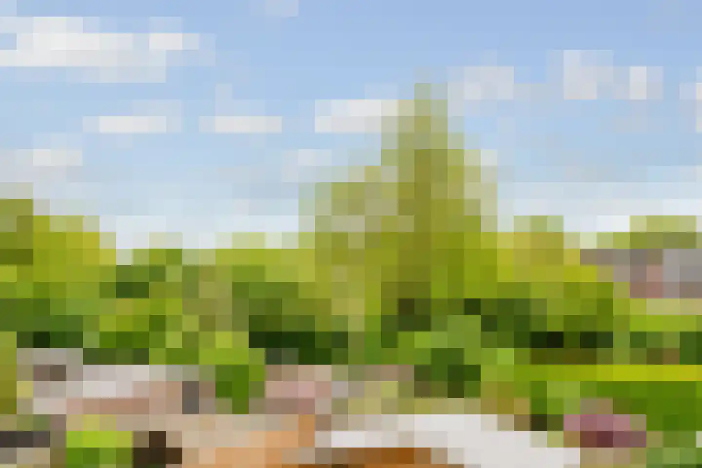 Donkeregaarde 31 Nieuwegein thumbnail 51