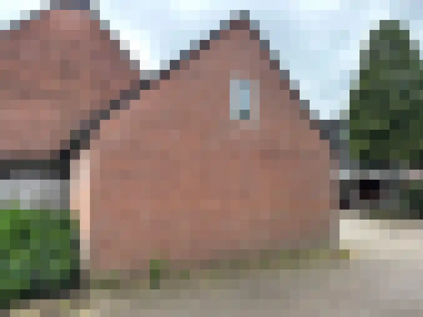 Donkeregaarde 9000 Nieuwegein foto 3