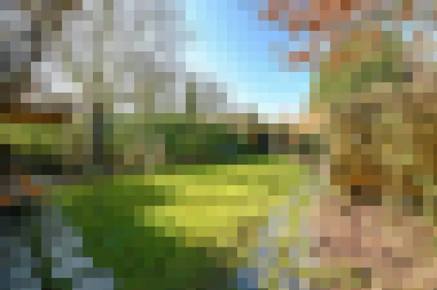 Donkereind 10 Vinkeveen thumbnail 30