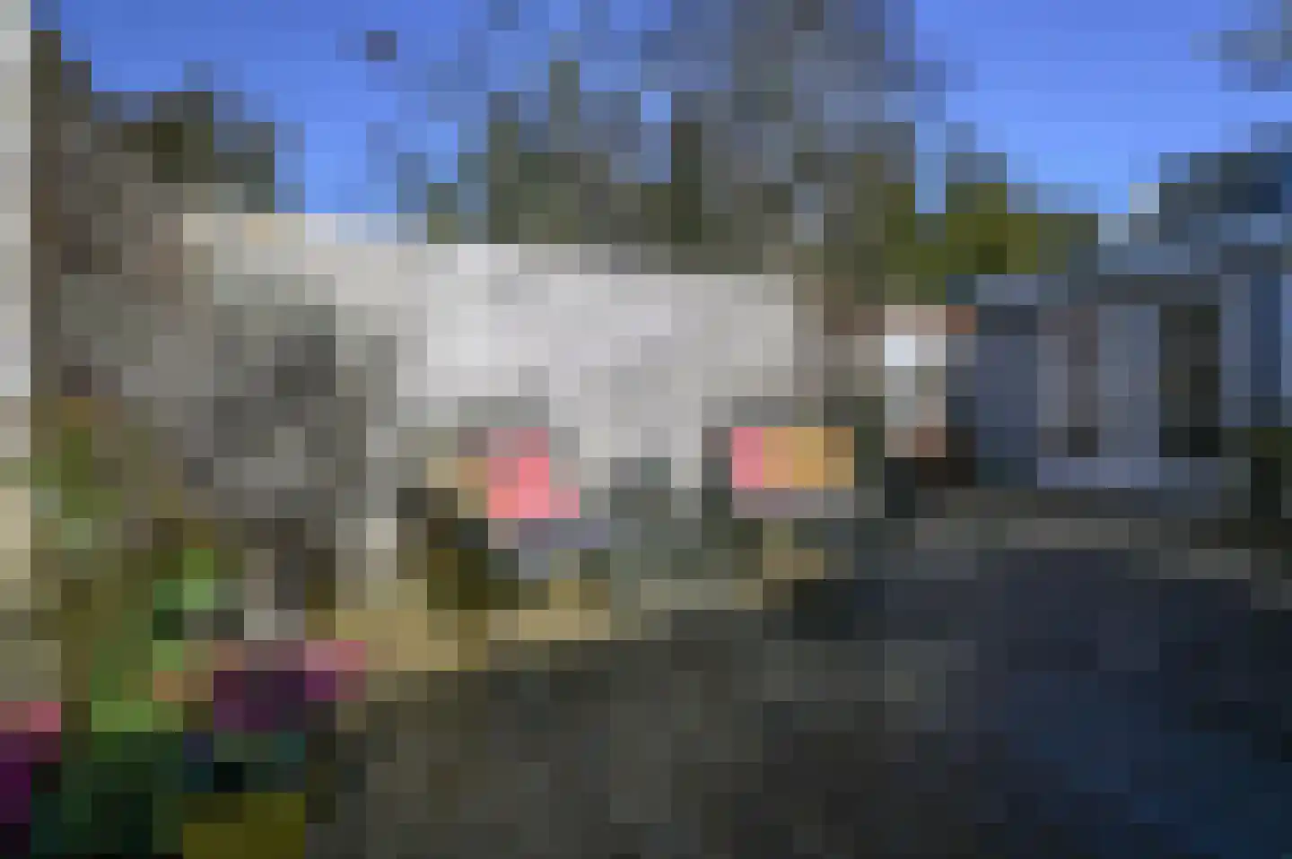 Donkereind 10 Vinkeveen thumbnail 36