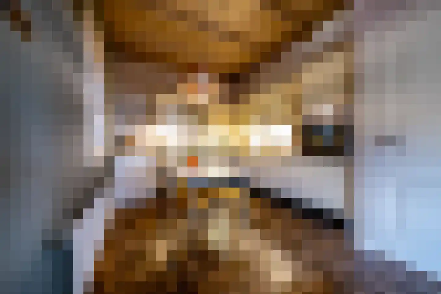 Donkereind 12 Vinkeveen thumbnail 11