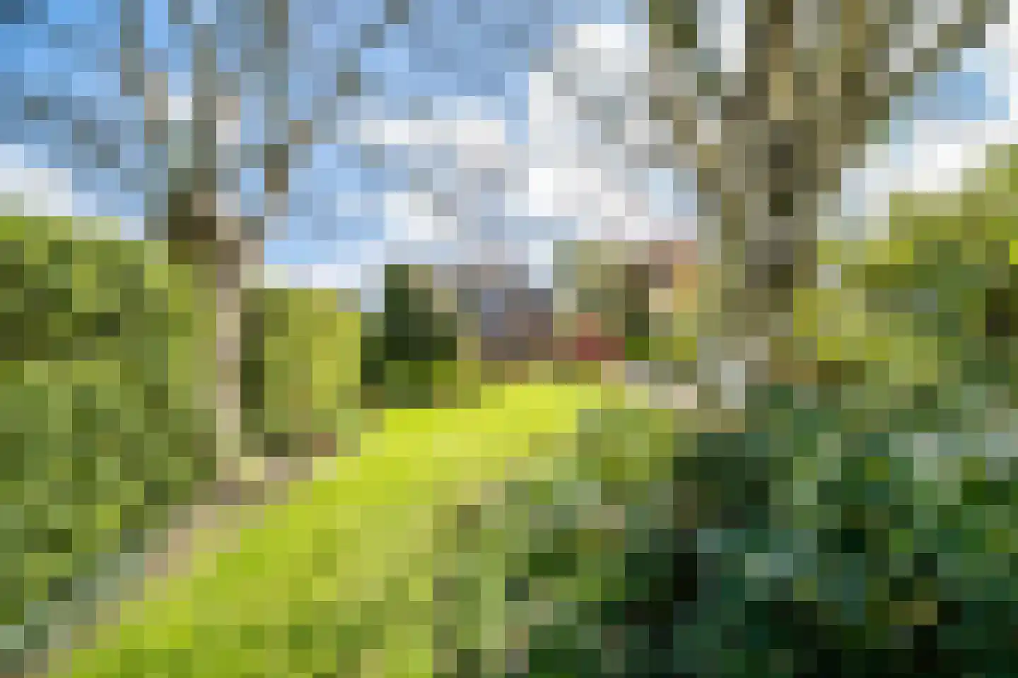 Donkereind 12 Vinkeveen thumbnail 20