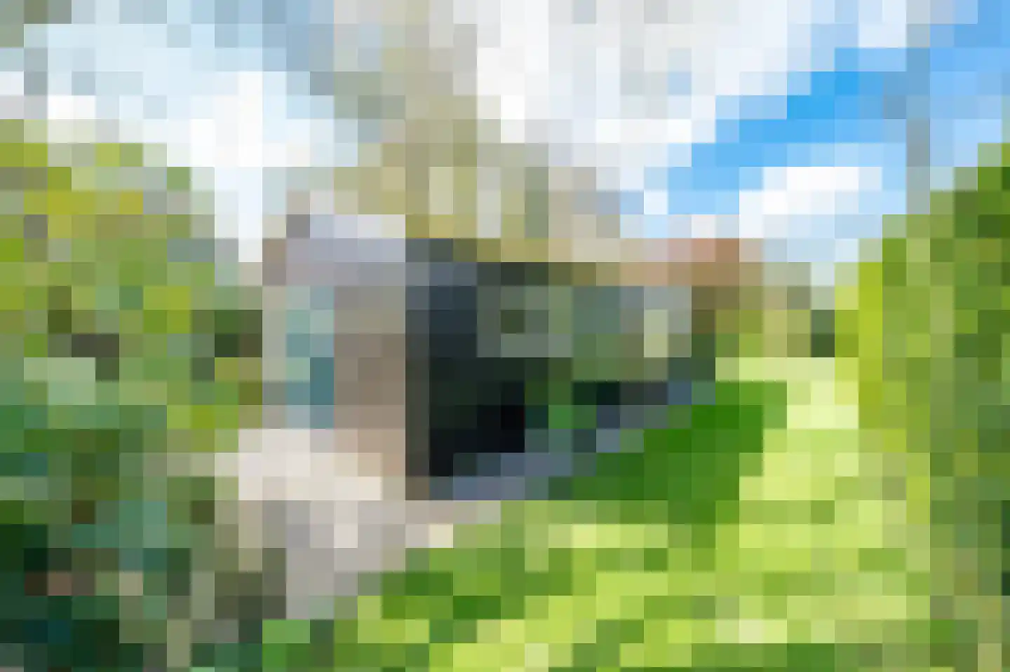 Donkereind 12 Vinkeveen thumbnail 21