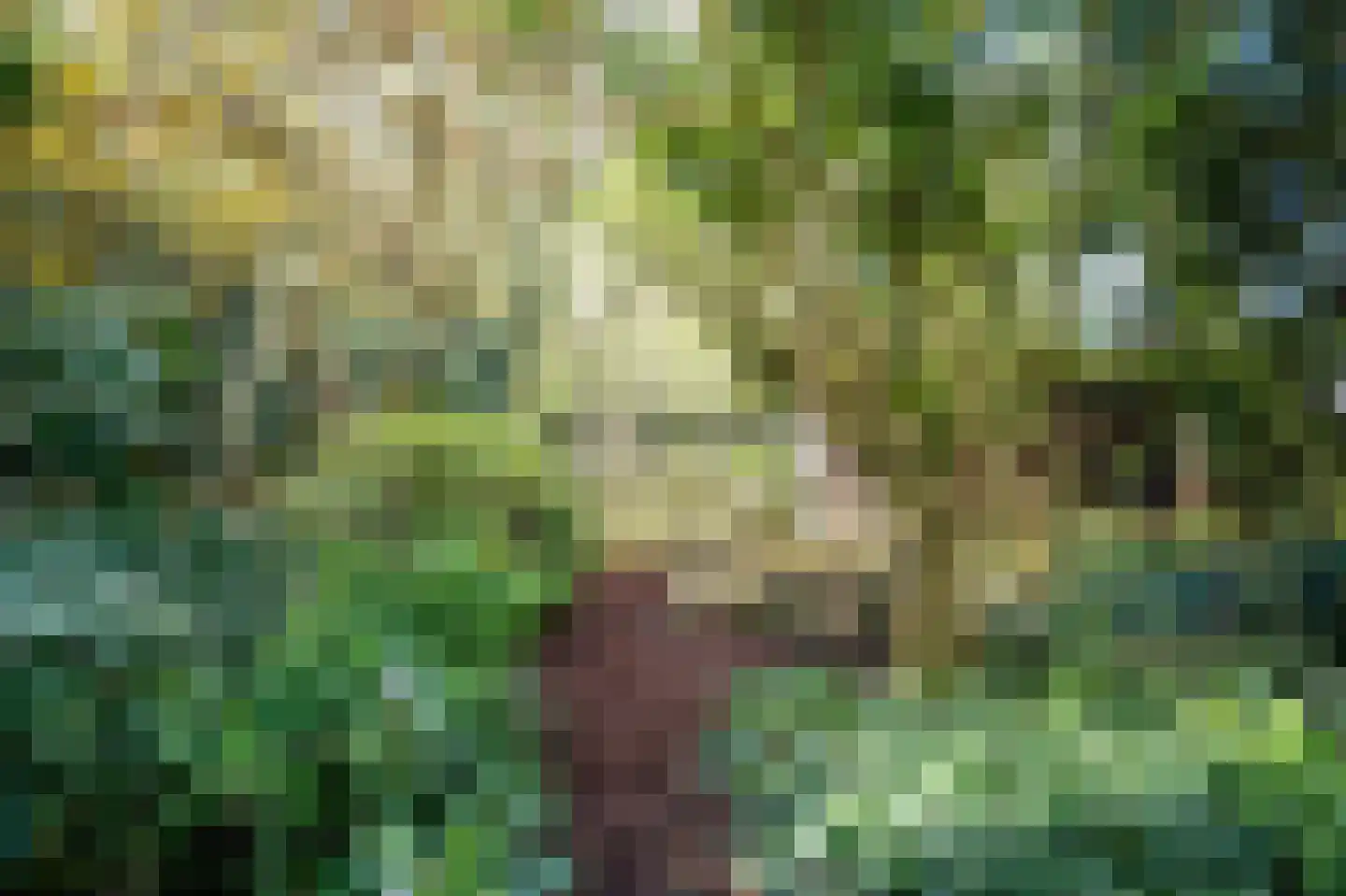 Donkereind 12 Vinkeveen thumbnail 23