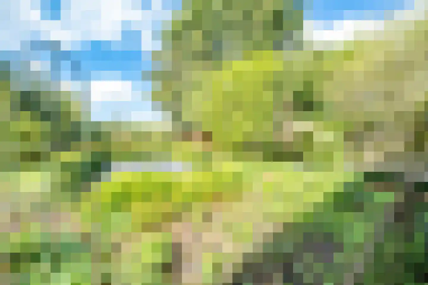 Donkereind 12 Vinkeveen thumbnail 25
