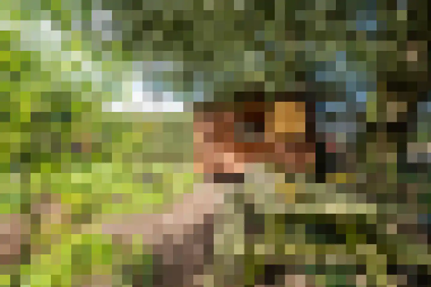 Donkereind 12 Vinkeveen thumbnail 26