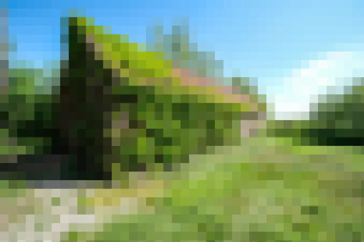 Donkereind 23 Vinkeveen thumbnail 20