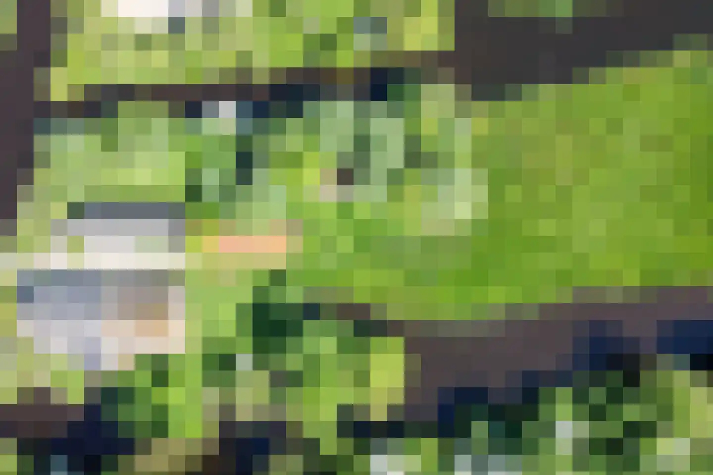 Donkereind 23 Vinkeveen thumbnail 21