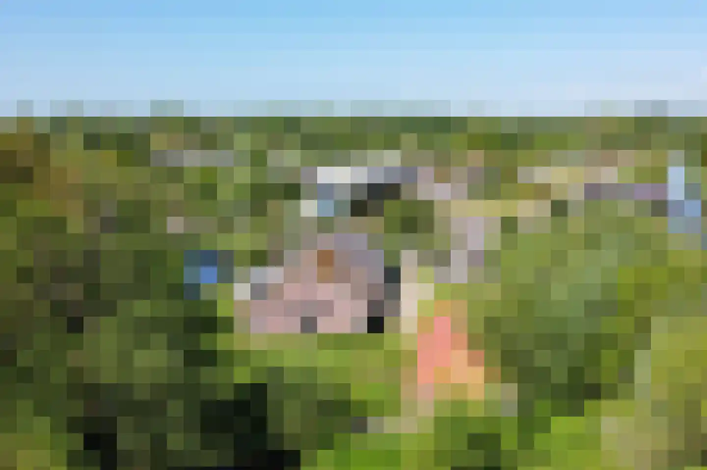 Donkereind 23 Vinkeveen thumbnail 22