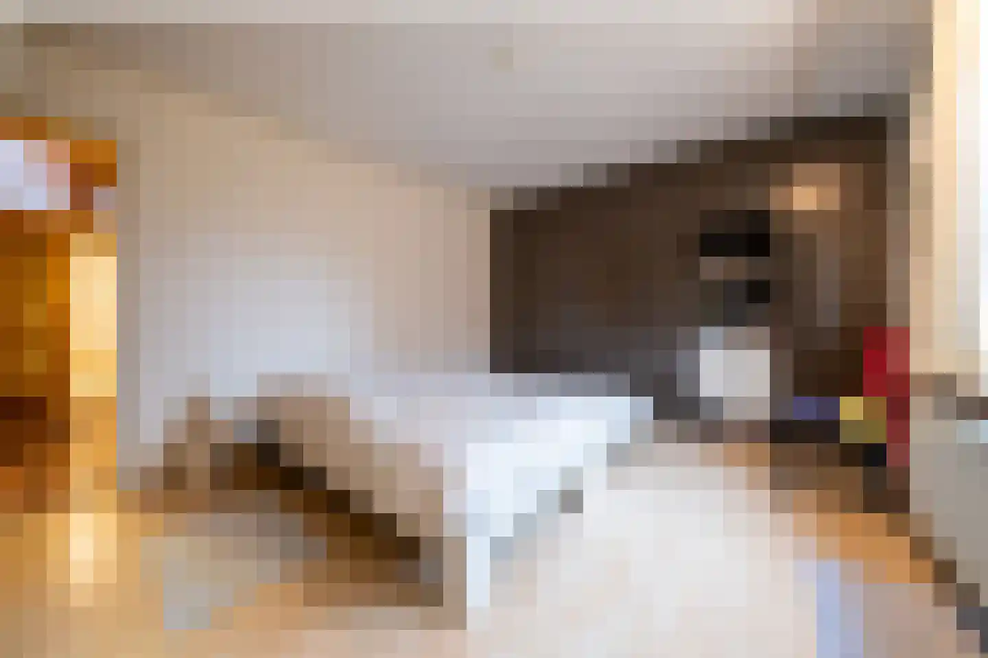 Donkereind 23 Vinkeveen thumbnail 29