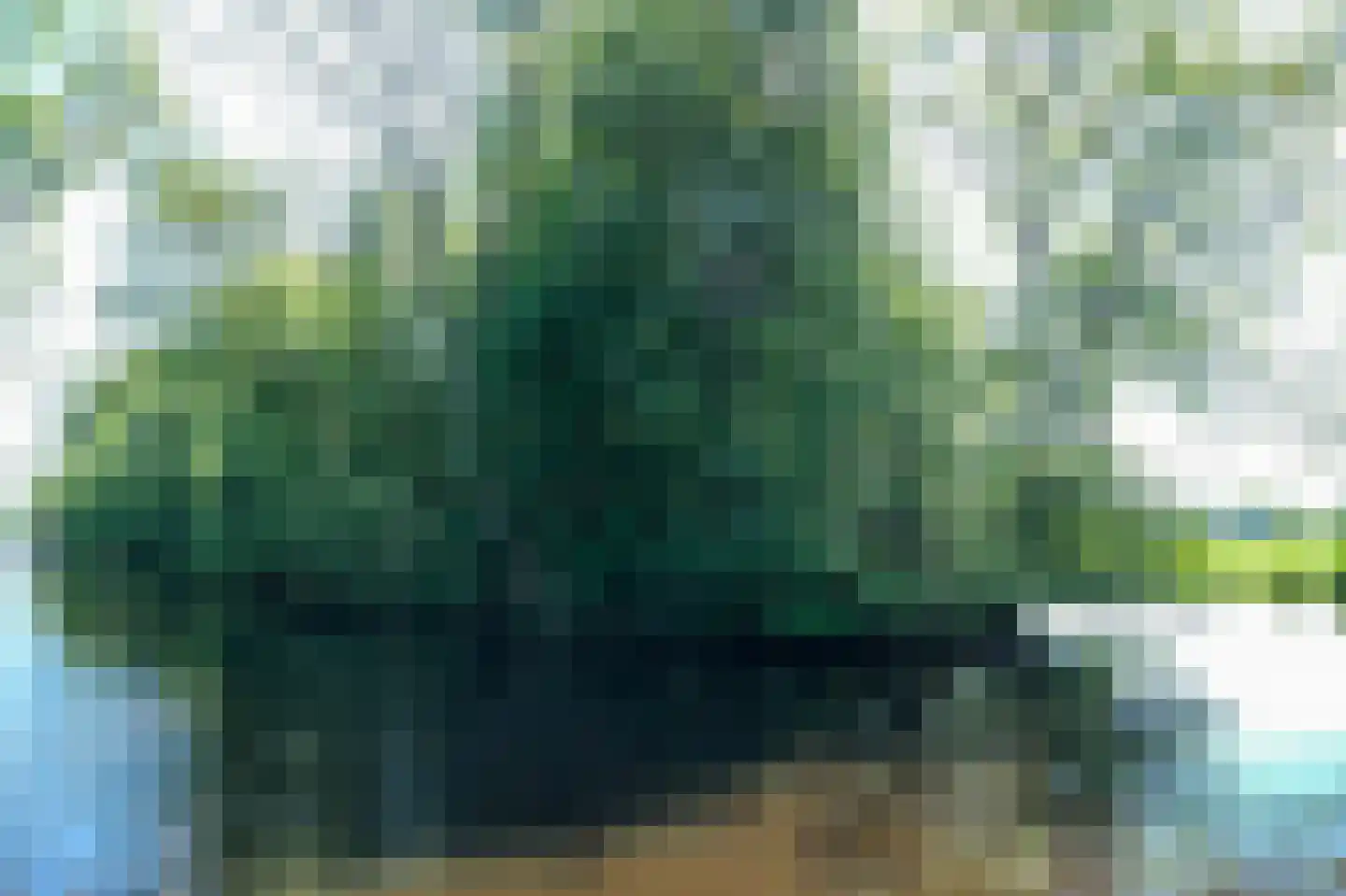 Donkereind 23 Vinkeveen thumbnail 43