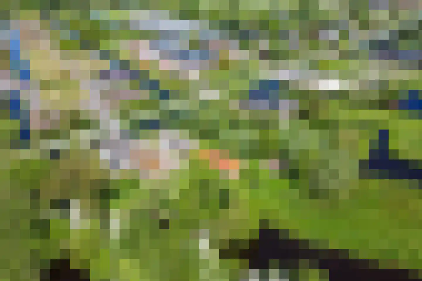 Donkereind 23 Vinkeveen thumbnail 45