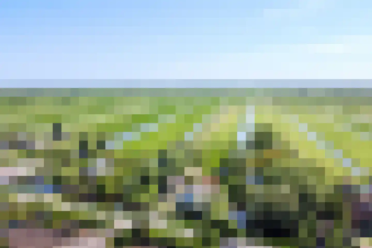 Donkereind 23 Vinkeveen thumbnail 46