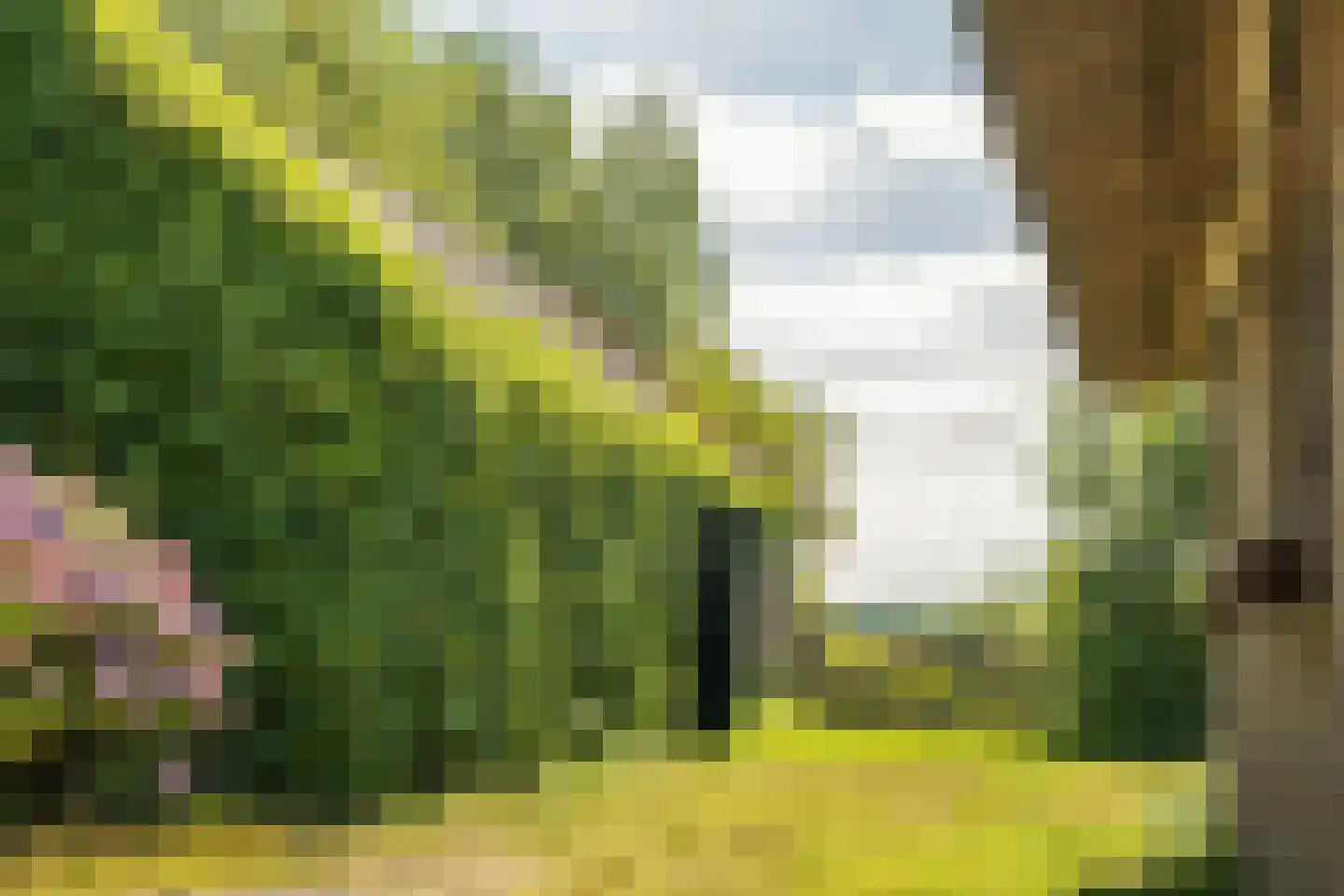 Donkereind 23 Vinkeveen thumbnail 6