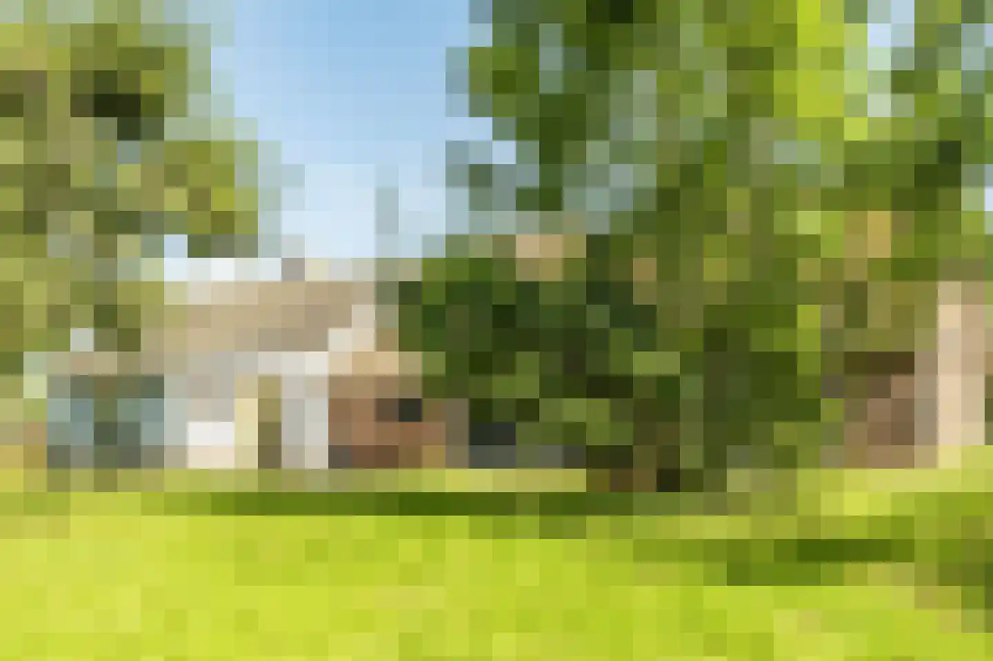Donkereind 23 Vinkeveen thumbnail 8