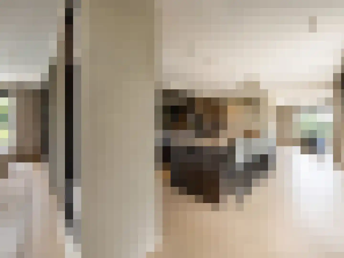 Donkereind 24 A Vinkeveen thumbnail 11