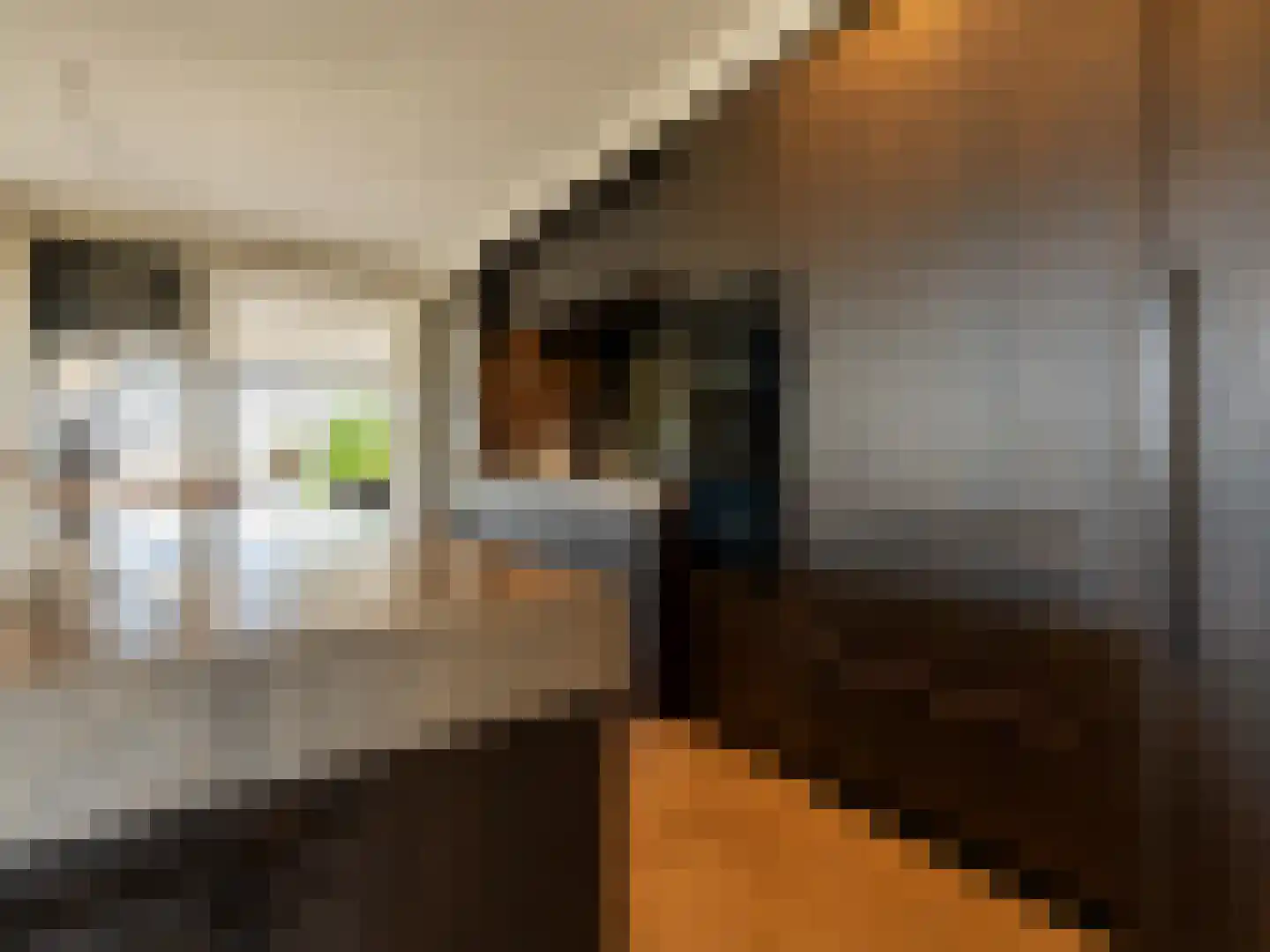 Donkereind 24 A Vinkeveen thumbnail 13
