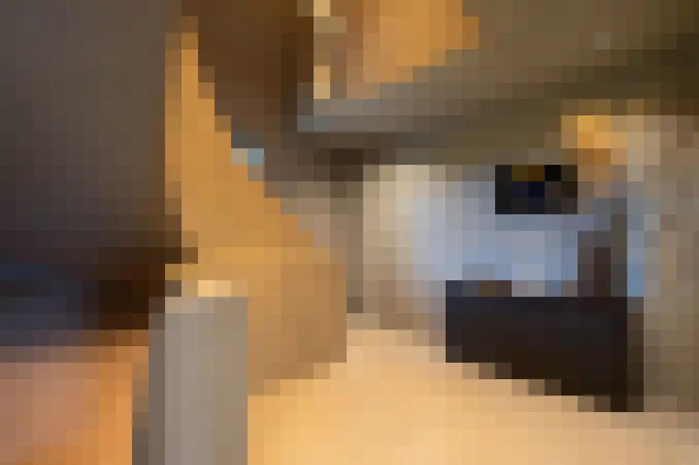 Donkereind 24 A Vinkeveen thumbnail 17