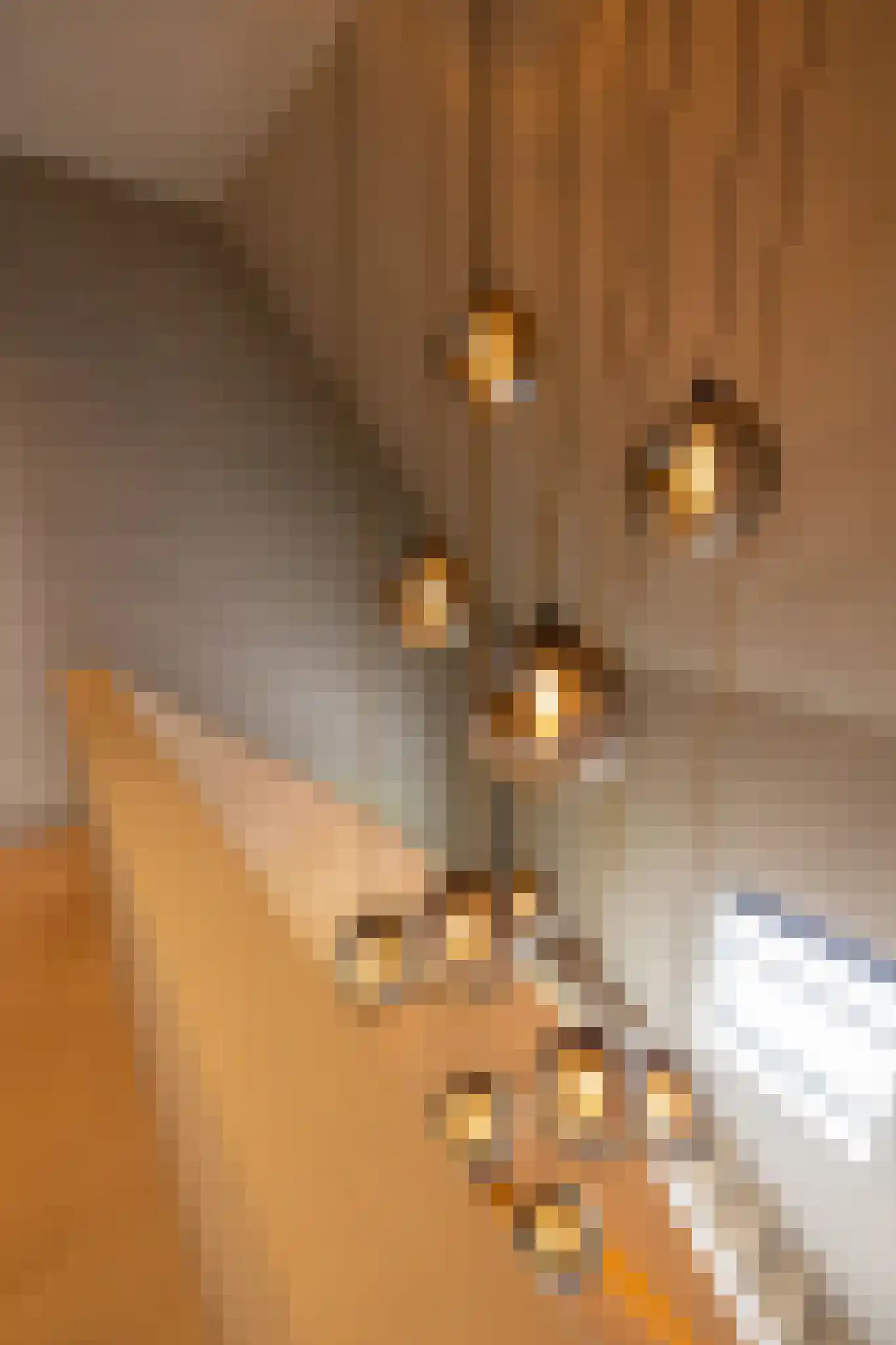 Donkereind 24 A Vinkeveen thumbnail 18