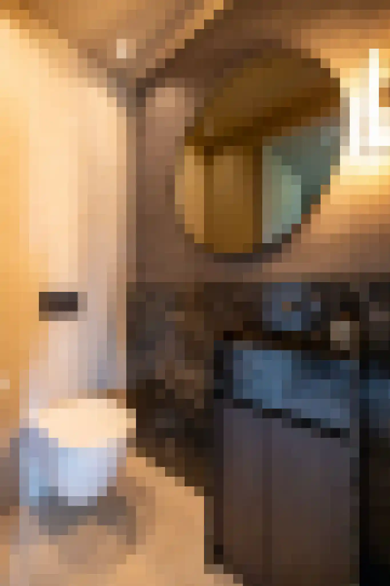 Donkereind 24 A Vinkeveen thumbnail 22