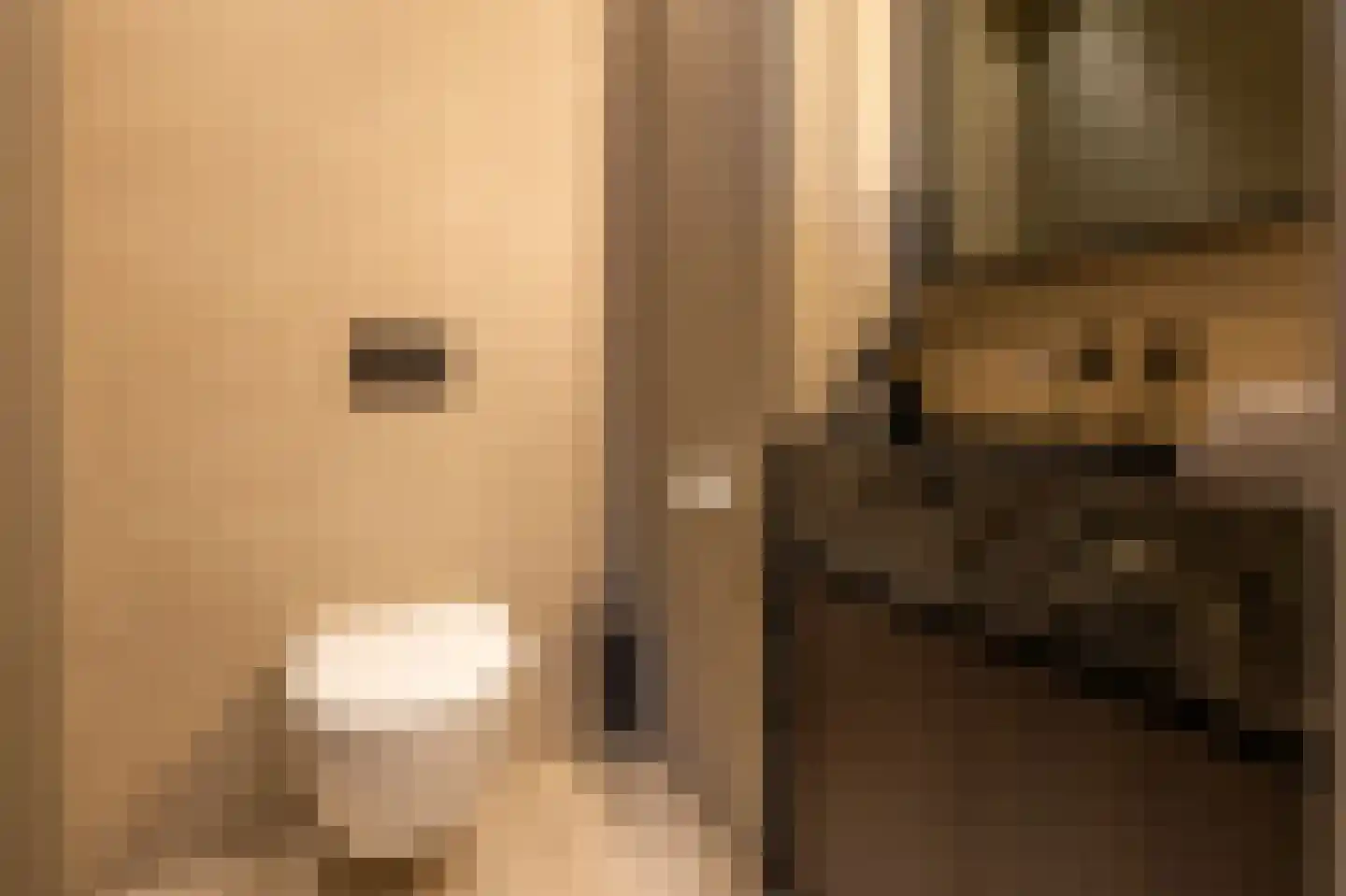 Donkereind 24 A Vinkeveen thumbnail 32