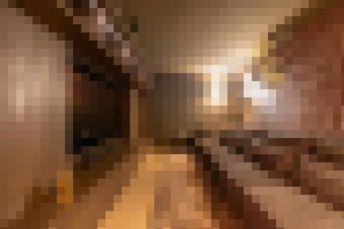 Donkereind 24 A Vinkeveen thumbnail 33
