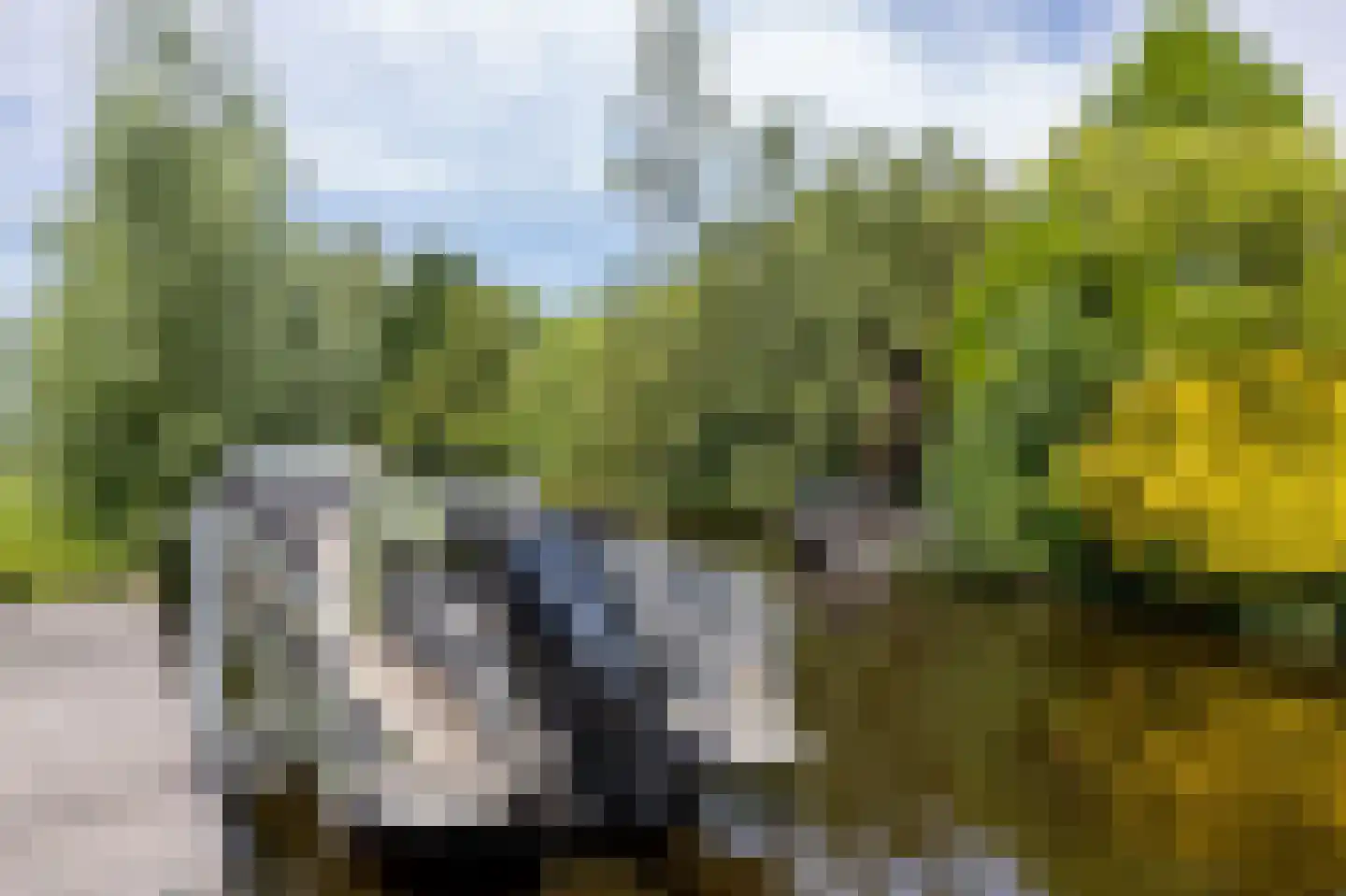 Donkereind 24 A Vinkeveen thumbnail 35