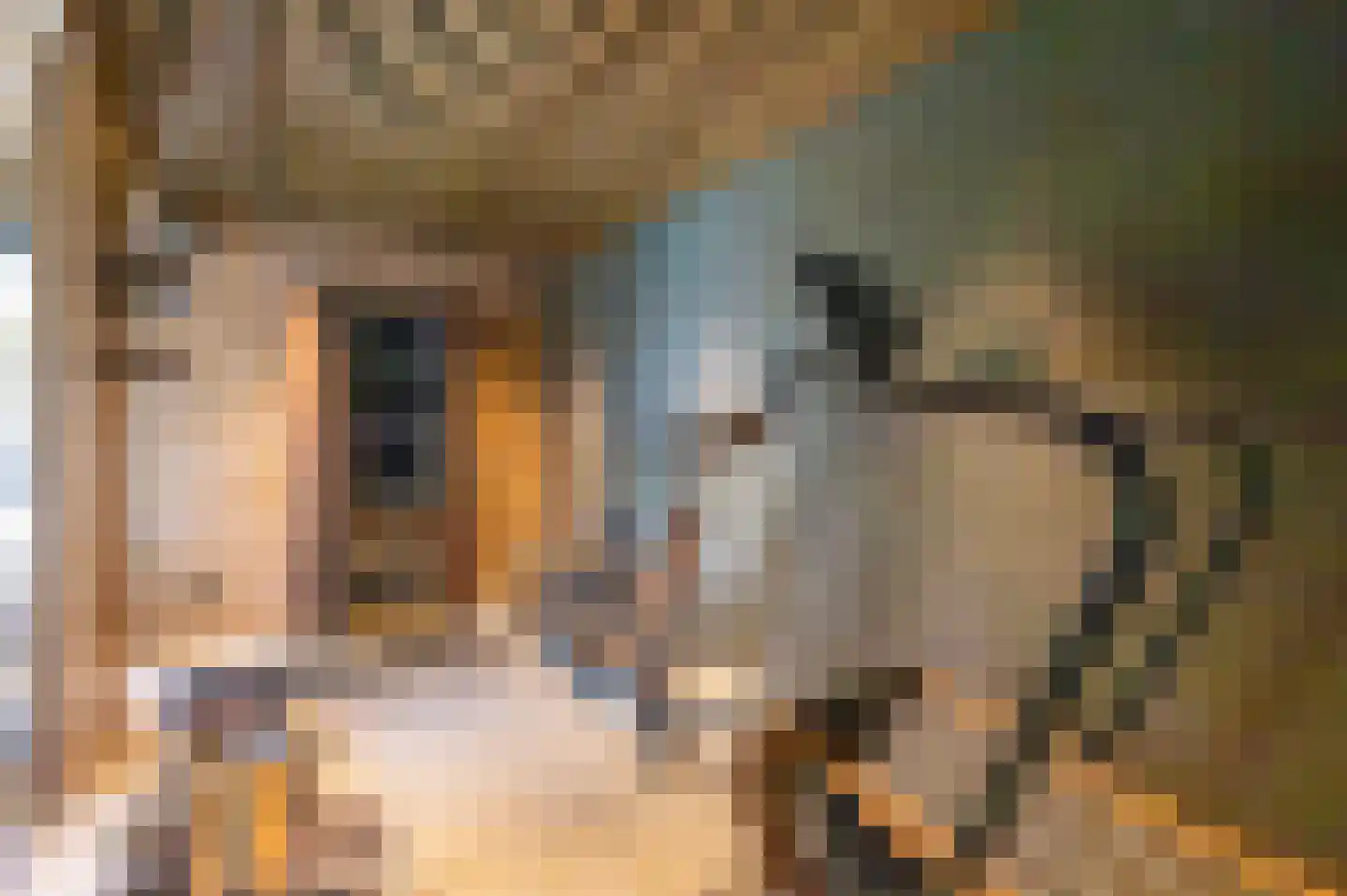 Donkereind 24 A Vinkeveen thumbnail 48
