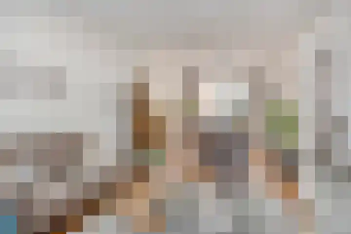 Donkeren Dijk 13 Heeswijk-Dinther thumbnail 10