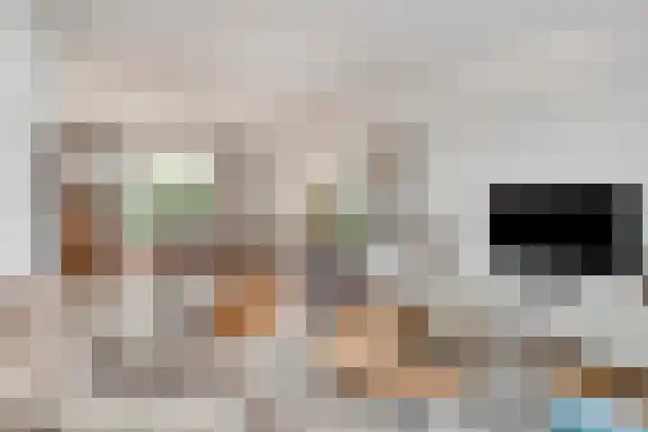 Donkeren Dijk 13 Heeswijk-Dinther thumbnail 11