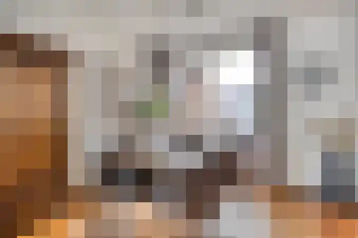 Donkeren Dijk 13 Heeswijk-Dinther thumbnail 12