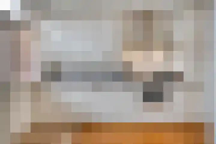 Donkeren Dijk 13 Heeswijk-Dinther thumbnail 14