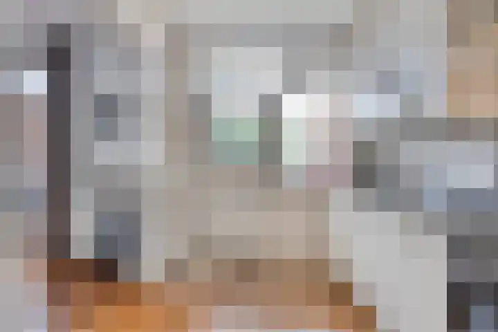 Donkeren Dijk 13 Heeswijk-Dinther thumbnail 16
