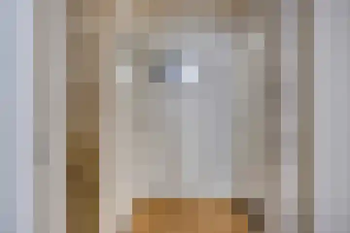 Donkeren Dijk 13 Heeswijk-Dinther thumbnail 18