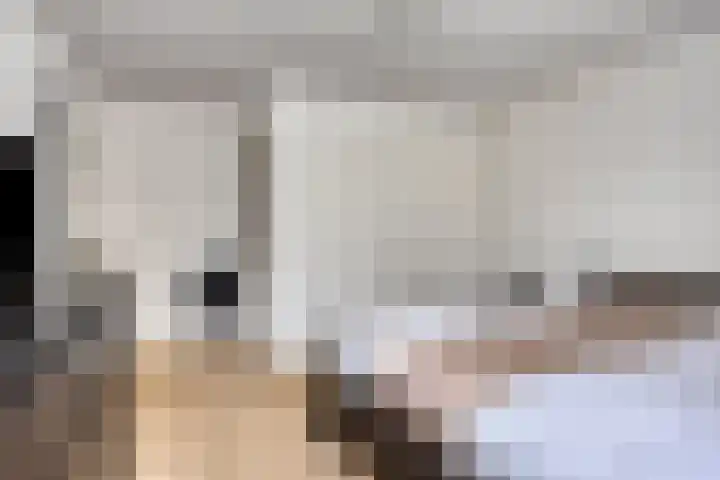 Donkeren Dijk 13 Heeswijk-Dinther thumbnail 20