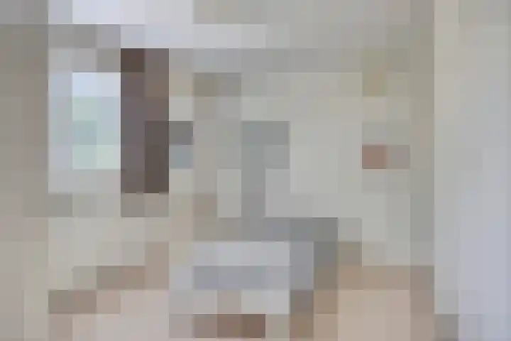 Donkeren Dijk 13 Heeswijk-Dinther thumbnail 21