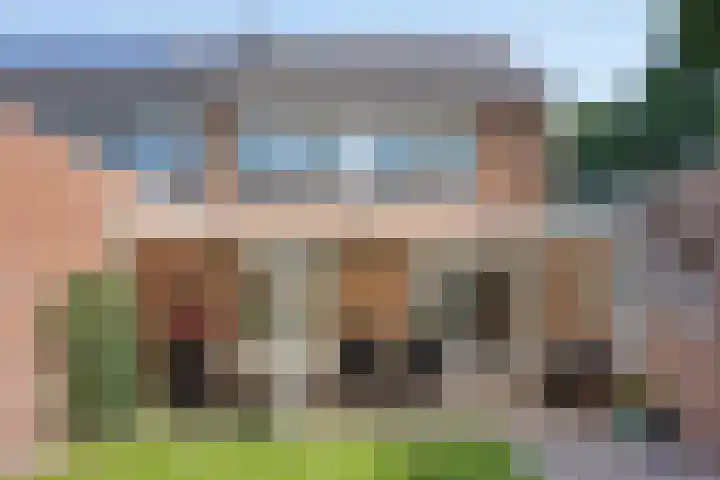 Donkeren Dijk 13 Heeswijk-Dinther thumbnail 33