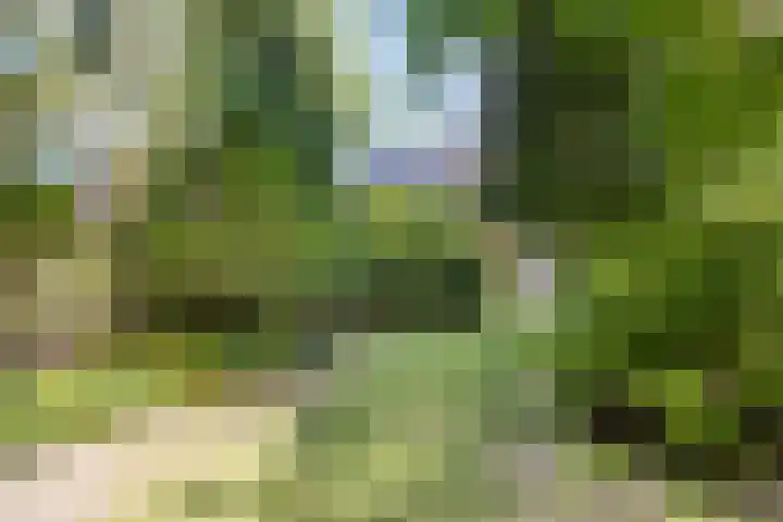 Donkeren Dijk 13 Heeswijk-Dinther thumbnail 4