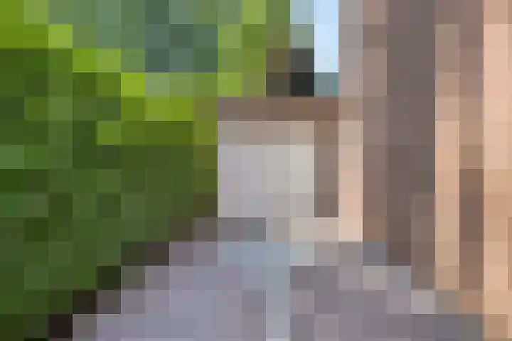Donkeren Dijk 13 Heeswijk-Dinther thumbnail 40