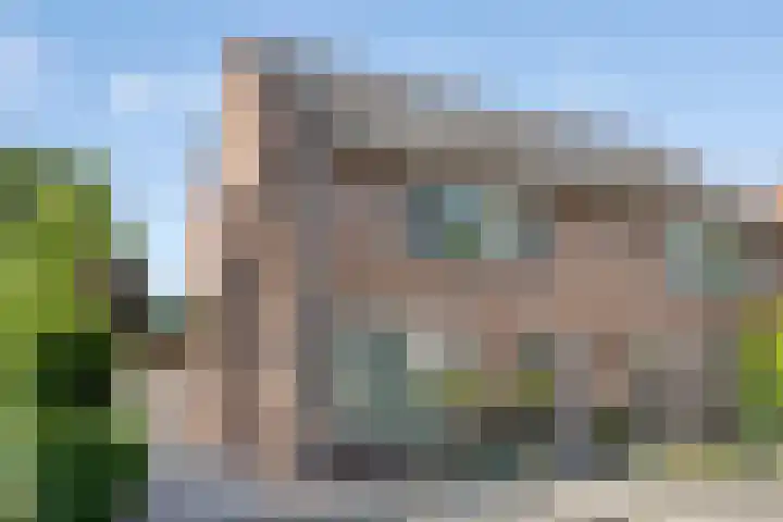 Donkeren Dijk 13 Heeswijk-Dinther thumbnail 42