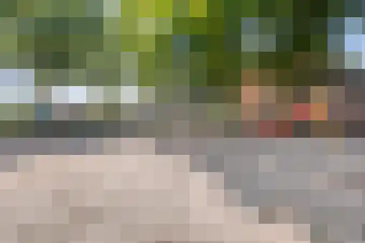 Donkeren Dijk 13 Heeswijk-Dinther thumbnail 43