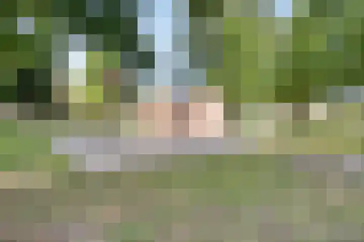 Donkeren Dijk 13 Heeswijk-Dinther thumbnail 44